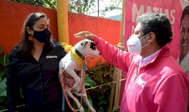 Se compromete Matías Nazario, apoyar y proteger a los animales