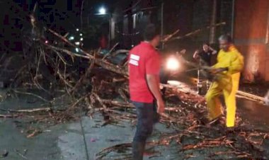 Secuelas varias en Cuernavaca por las lluvias en las últimas horas