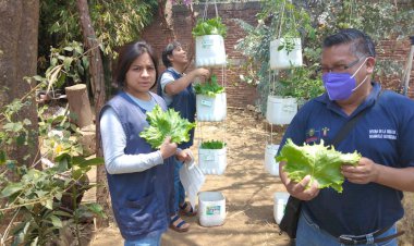 ¨Escuela Verde¨ en Cuernavaca  llega ante el temporal de lluvias