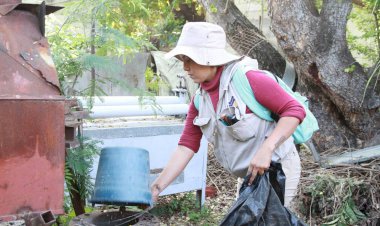 La falta de limpieza en hogares impedirá combatir el dengue