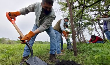 Reforestan La Cueva, área natural protegida del estado