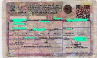 Por falsificar tarjeta de circulación, mujer pasará 3 años en la cárcel