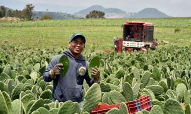 Es permanente el apoyo aquí en  favor de los productores locales