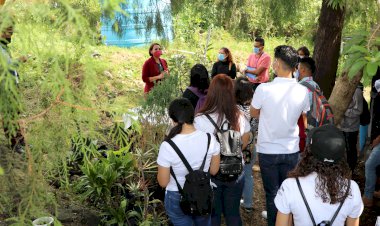Siembra UAEM árboles nativos  para regenerar de áreas verdes
