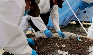 FGE: aparecieron 4 cuerpos más en  fosas clandestinas de Mixtlalcingo