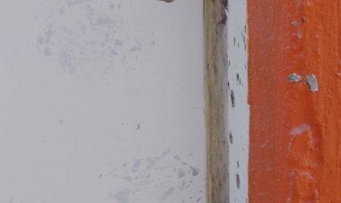 Echan a J. Corona, desaparece y  se informa de supuesto atentado