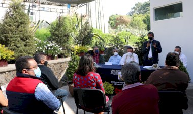 Comenzó UAEM campaña de  acopio de árboles de navidad