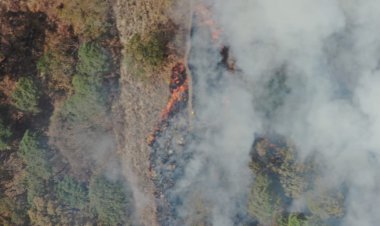 Un chavo drogado ocasionó el incendio en Tepoztlán: alcalde