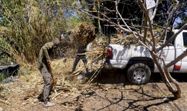 Avanza labor de limpieza  en barrancas de Jiutepec