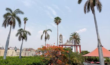 Ambientalistas alzan la voz por el área arbórea en el Zócalo de Cuautla