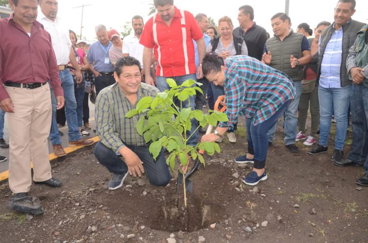 Inició programa de arborización en Cuautla, Yecapixtla y Ayala