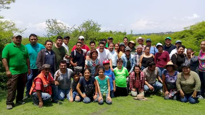 Siembran 600 árboles en el cerro de la tortuga de Zacatepec