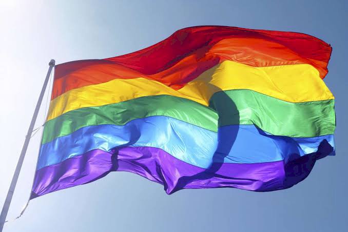 Con 170 mil y sin incidentes, concluyó marcha del orgullo gay