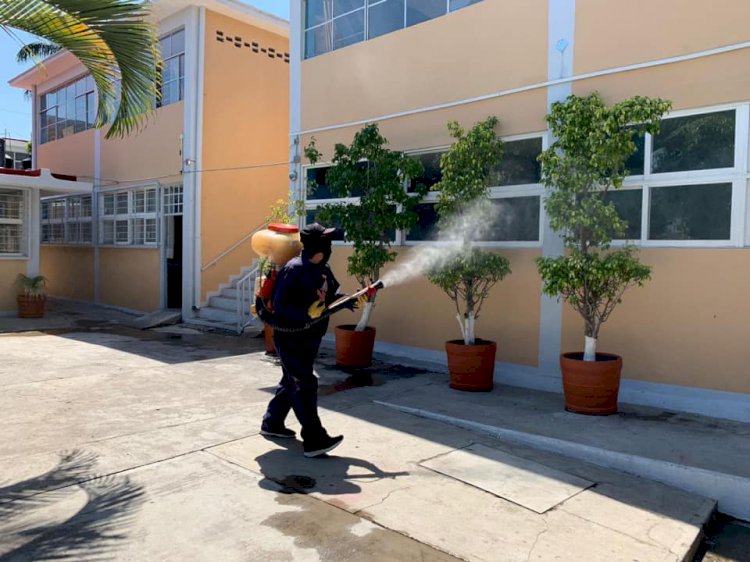Buscan erradicar proliferación del mosco trasmisor de dengue, zika y chikungunya
