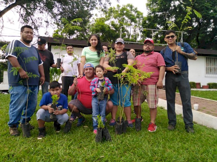 Encabeza Rafael Reyes campaña  masiva de reforestación en Jiutepec