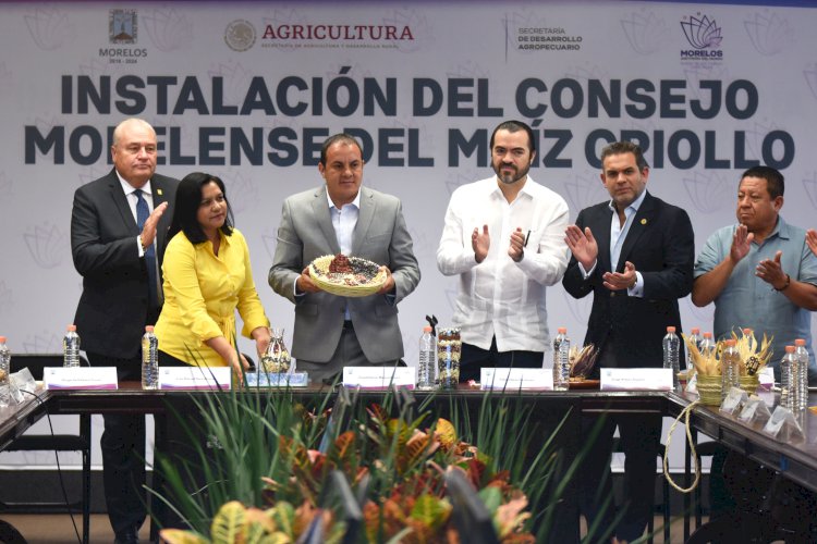 Instala Cuauhtémoc Consejo Morelense del Maíz Criollo