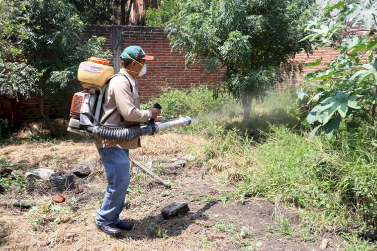 Combaten criaderos de mosco transmisor  de dengue en la zona oriente del estado