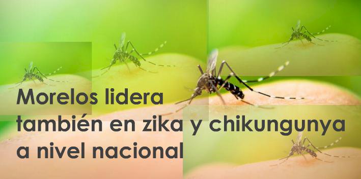 En zika y chikungunya, ya es Morelos también el peor del país