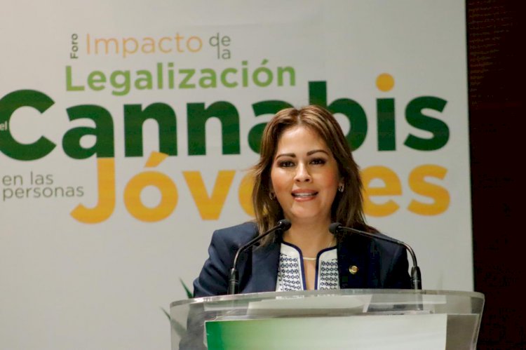 Necesario reformas integrales para la legalización de la Cannabis: Lucia Meza