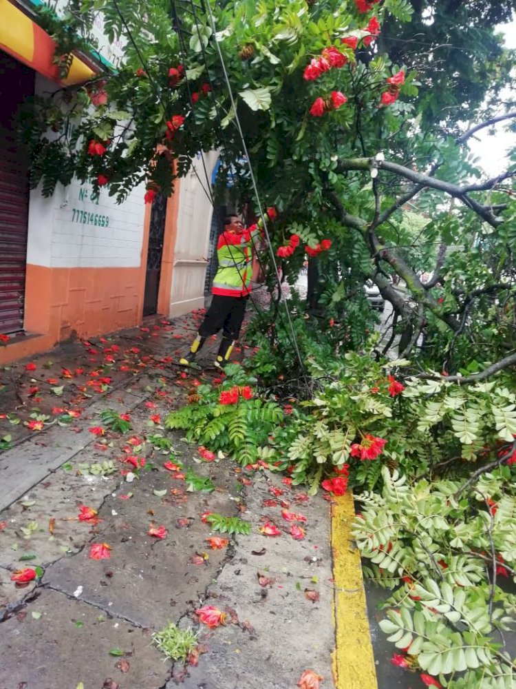 Distintas afectaciones por lluvias en Cuernavaca