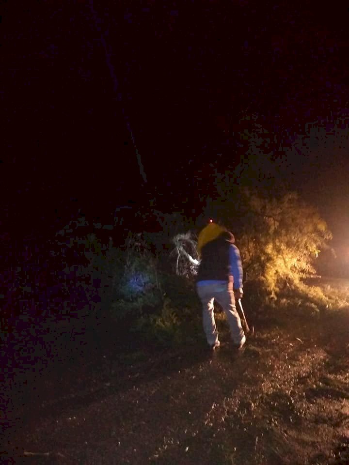Árboles caídos y colonias sin luz,  daños en Tepoztlán por lluvias