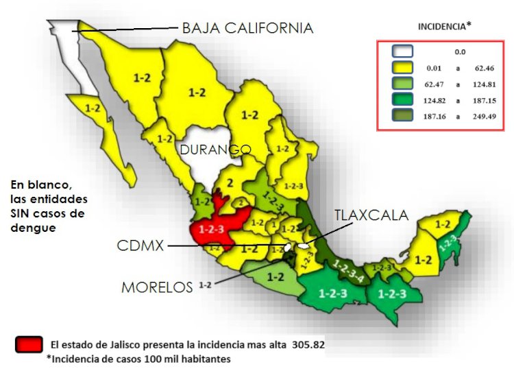A diferencia de Morelos, 4 estados vencen al dengue
