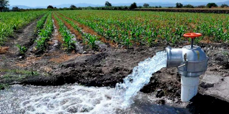 Afectados campesinos si Senado  aprueba cobro por uso de agua