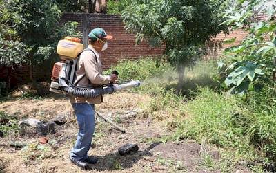 Jonacatepec, Yautepec y Ayala, con  mayor número de casos de dengue