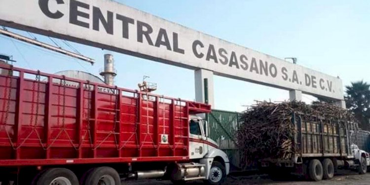 Estiman producción de 100 tons. de  azúcar en el ingenio de Casasano