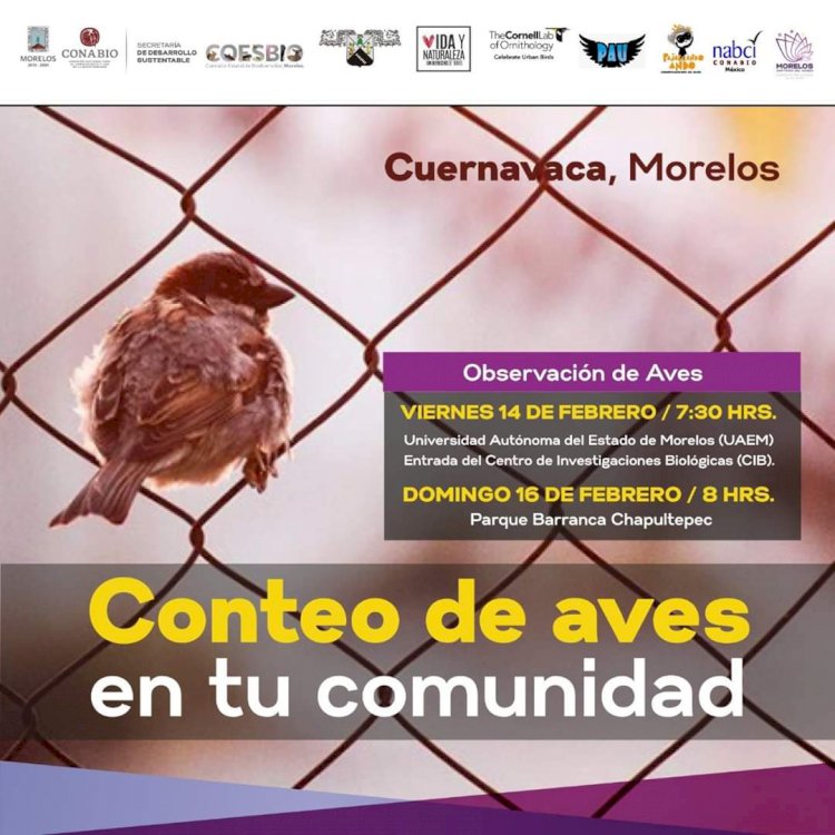 Invitan a proyecto ¨Conteo  de Aves en tu Comunidad¨