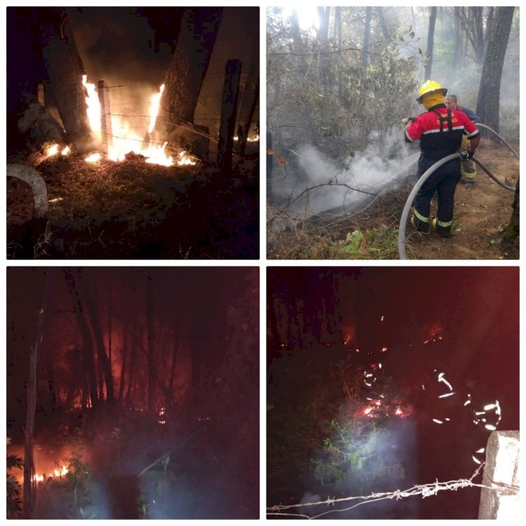 Sofocan bomberos un voraz incendio forestal en Ocotepec
