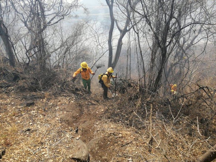 Pide la SDS extremar cuidados  para evitar incendios forestales