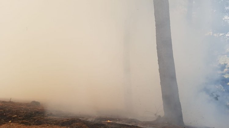 Otro incendio amenaza Lomas Tzompantle en Cuernavaca
