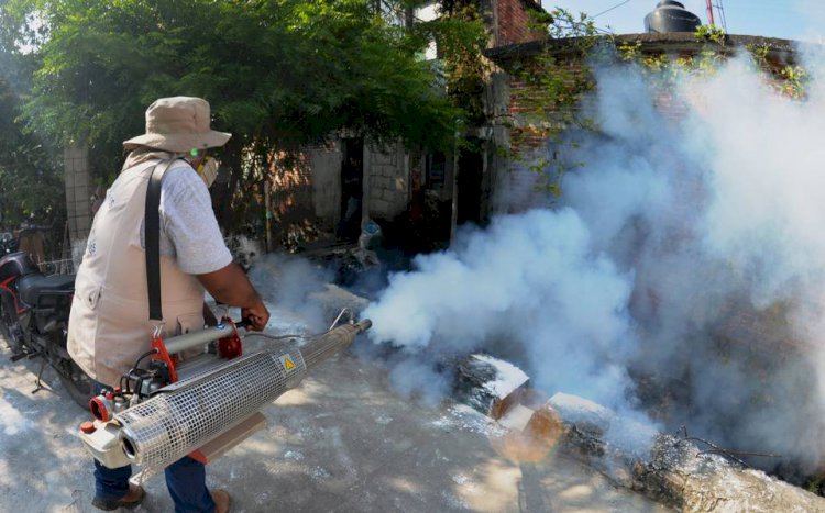 Se multiplican los casos de dengue en el estado