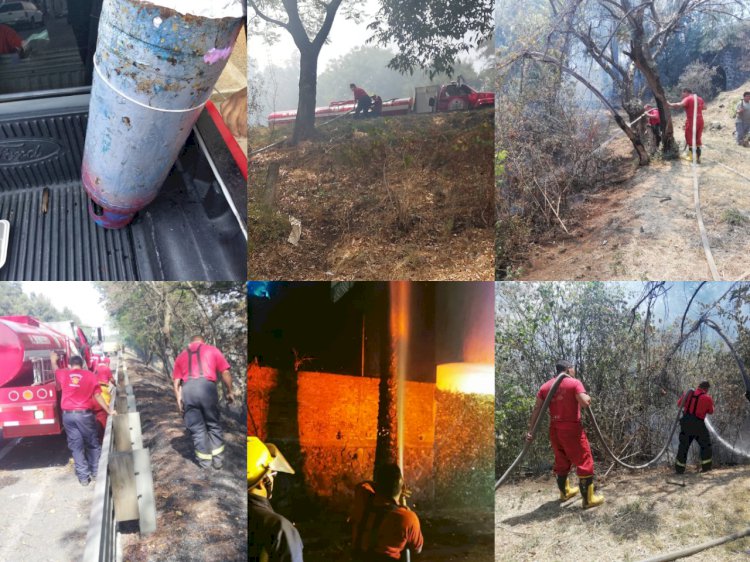 Sofocan incendio forestal en Lomas de Chamilpa