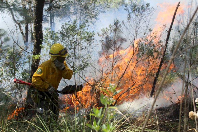 Se refuerzan acciones en contra  de los incendios forestales