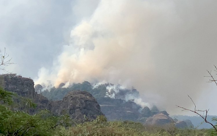 Feroz incendio forestal en Tepoztlán