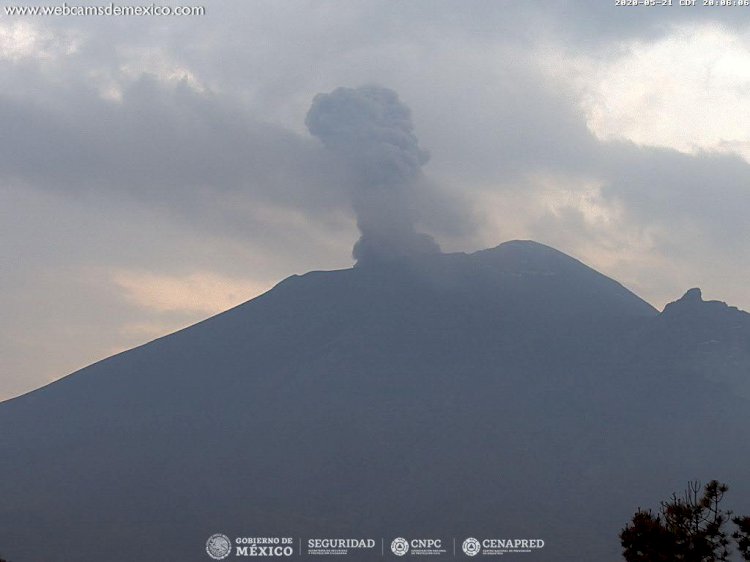 Registro de 90 exhalaciones volcánicas en últimas horas