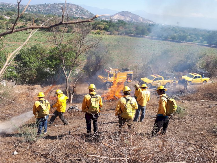 Realizan trabajos preventivos  contra incendios forestales