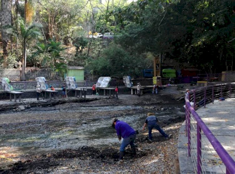Siguen trabajos de mantenimiento en el parque ecológico Chapultepec