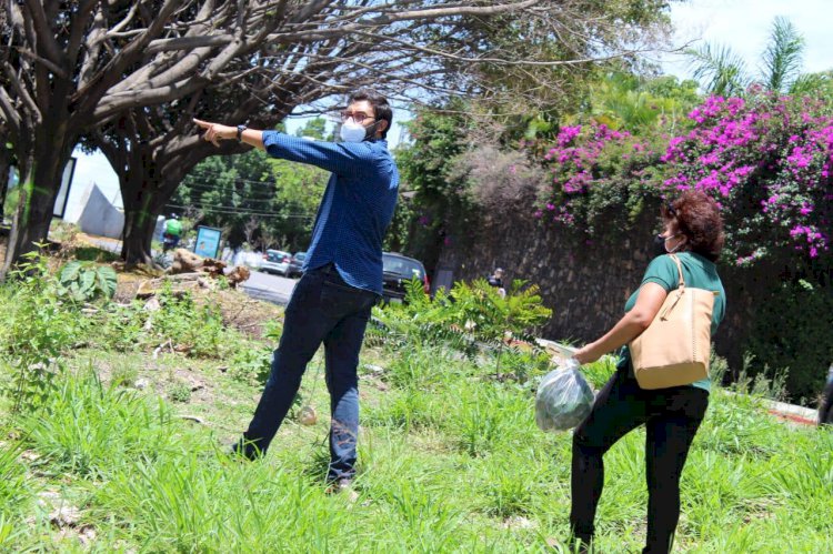 Iniciará gobierno de Cuernavaca   campaña de reforestación urbana