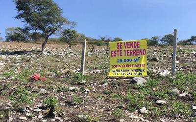 Denuncian venta de terrenos en Yautepec, sin autorización