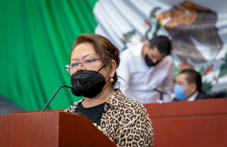 Propone diputada Elsa Delia González creación  de la procuraduría social y cultura de paz del estado