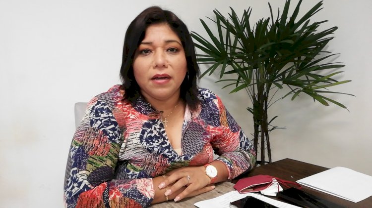 Excesiva, pretensión presupuestal  de Impepac, acusa Ariadna Barrera
