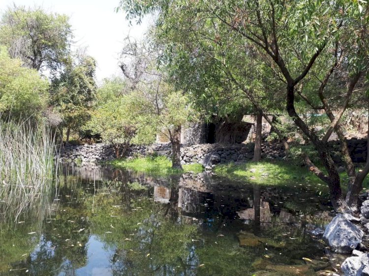 Concluyó el saneamiento de la Laguna de Hueyapan en el parque El Texcal