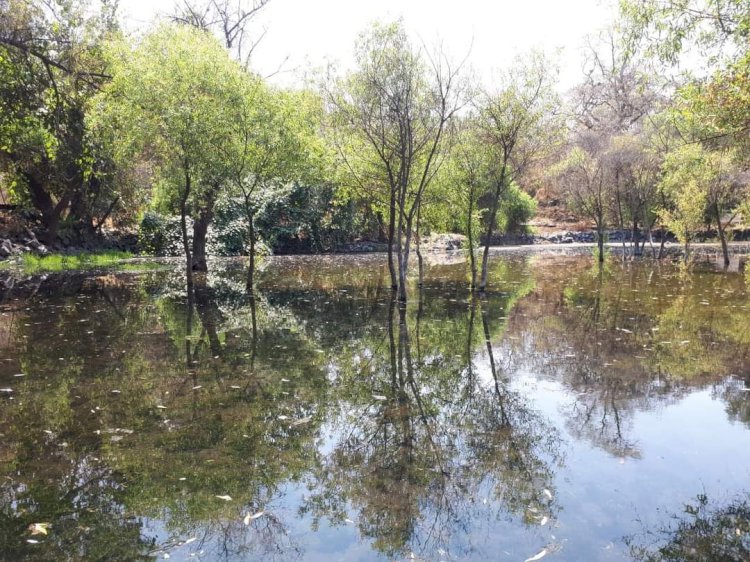 Concluyó el saneamiento de la Laguna de Hueyapan en el parque El Texcal