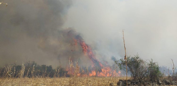 Cierra este lunes Morelos con 6 incendios forestales