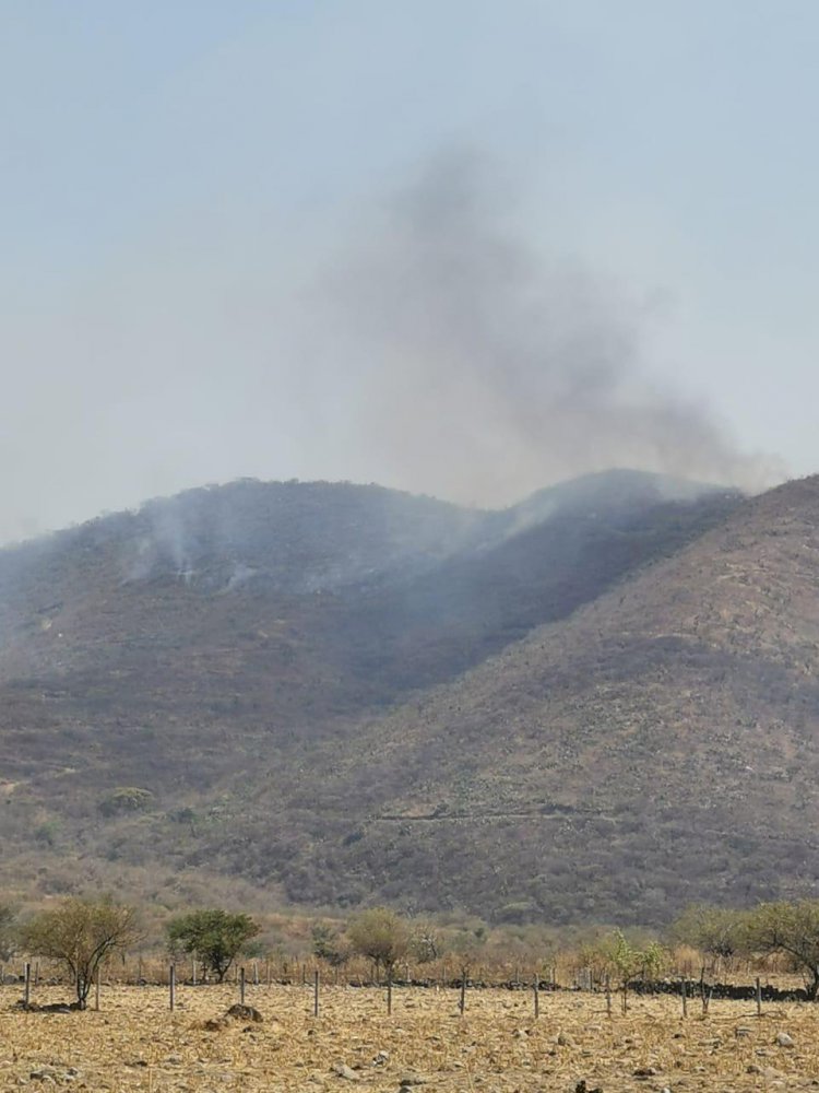 Cierra este lunes Morelos con 6 incendios forestales