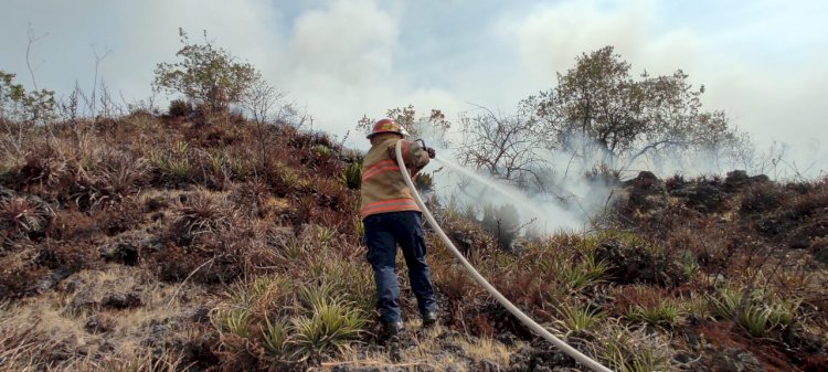 Nuevo incendio en Tepoztlán es combatido