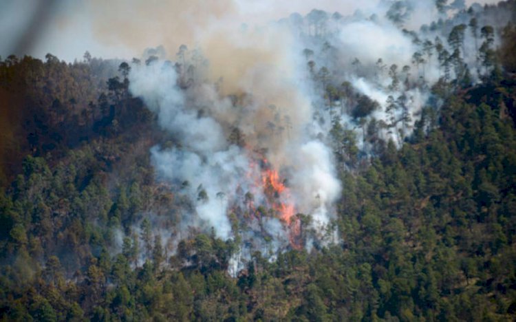 En Tetela del Volcán se han registrado  6 incendios que han sido provocados